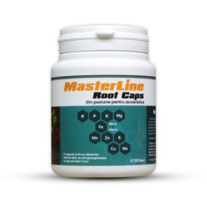 MasterLine Root Caps (125 buc)