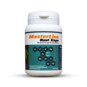 MasterLine Root Caps (60 buc)